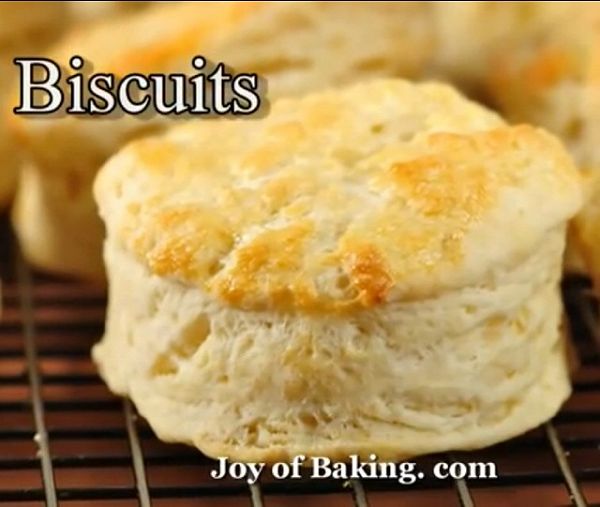 biscuit ---美国小甜饼