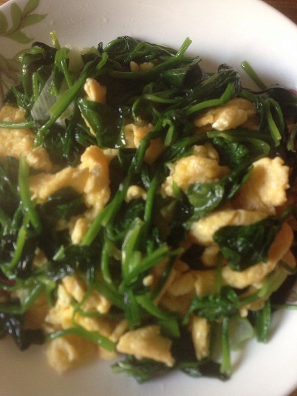 菠菜苗炒鸡蛋