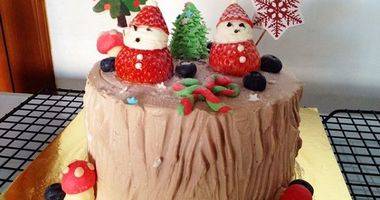 圣诞巧克力装饰蛋糕