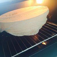 把面团盖上拧干水的纱布后放入烤箱发酵1小时，在烤箱放些温水增加湿度！