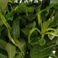 菠菜洗净控干水份。