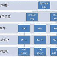 将两种颜色的面团按照组织图分割成大小不等的等份；