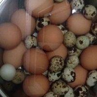 洗净蛋 放入锅中煮熟，下冷水