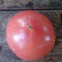 洗净的西红柿用刀划十字