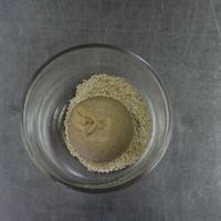 将排好气的面团粘上白芝麻，摆放到烤盘里