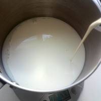 奶锅里放入牛奶、淡奶油，半根香草荚直接掰碎扔锅里（时间长有点干），