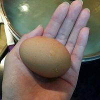 锅里烧开后，一个鸡蛋磕到锅里，马上用筷子搅拌成蛋花。然后放适量盐，鸡精，十三香。就出锅。