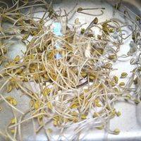 黄豆芽摘去根部，浸泡片刻。