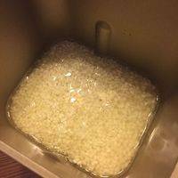 在面包机桶内倒入糯米，，倒入桂花茶